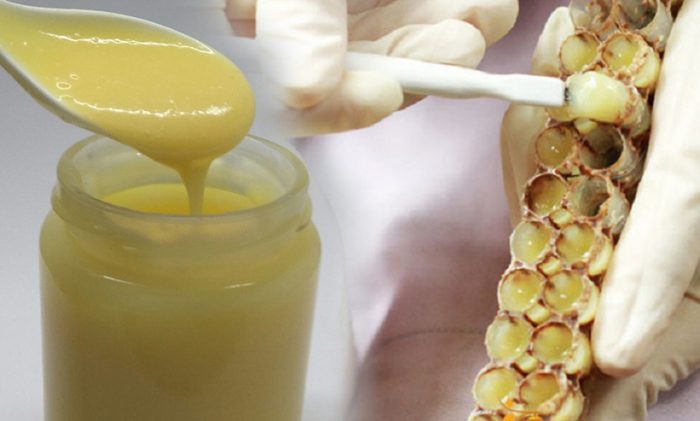  Sữa ong chúa có tác dụng gì cho sức khỏe